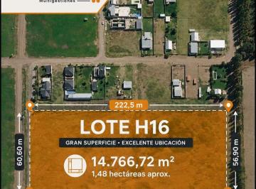 Terreno , Plottier · Venta de Gran Terreno Comercial Sobre Ruta 22