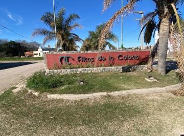 Terreno · 350m² · Terreno en Venta en Altos de La Colonia