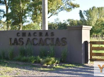 Terreno · 2002m² · Terreno en Venta - 2.002 m² - Cañuleas