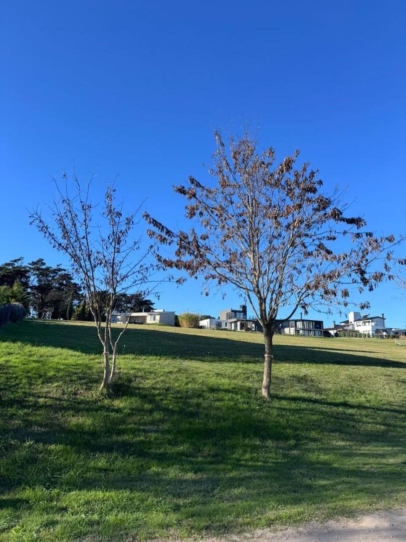 Lote en barrancas de San Benito 1.000 m²