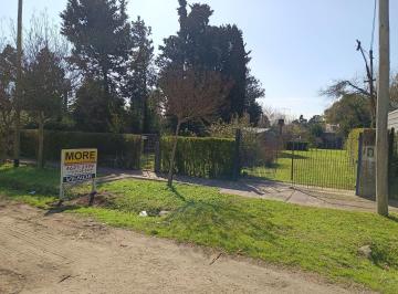 REP-REP-563_2 · Lote. | Camino, Miguel A. 4867