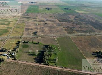 Campo , General Alvear · Campo Mixto 106 Ha Gral Alvear, Provincia de Buenos Aires.