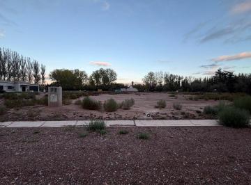 Terreno · 771m² · Lote Distrito Larrea Terreno + Opción de Proyecto