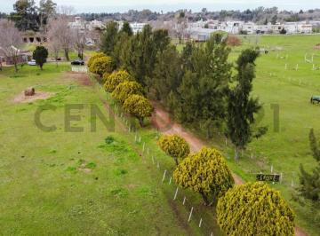 Campo · 600m² · 3 Dormitorios · Venta de Fraccion 8 Ha. Villa Elisa.