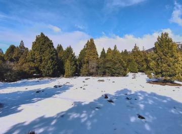 Terreno · 2500m² · Venta Terreno Peninsula Meliquina - San Martin de Los Andes