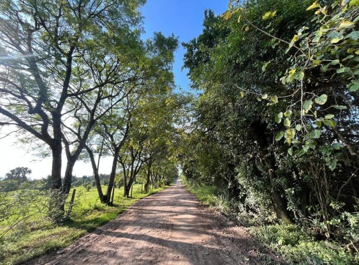 Terreno · 4800m²