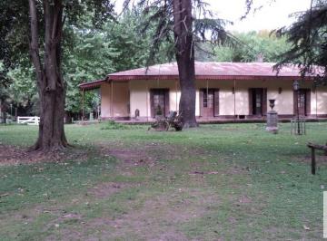 Campo · 250m² · 15 Ambientes · Campo en Alquiler - 14 Dorm. 4 Baños - 50.000 m² - Tristán Suarez