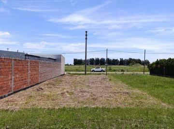 Terreno · 279m² · Lote en Barrio Martelossi. Reconquista