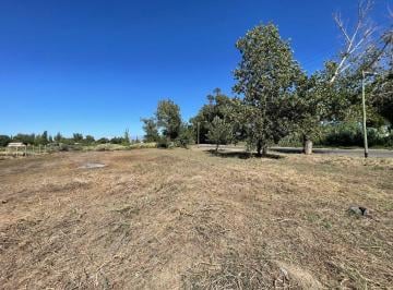 Terreno · 15988m² · Lote en Venta Colonia Segovia Apto Loteo