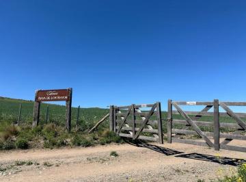 Terreno · 26145m² · Lote en Venta Agua de Los Bayos Tupungato Mendoza