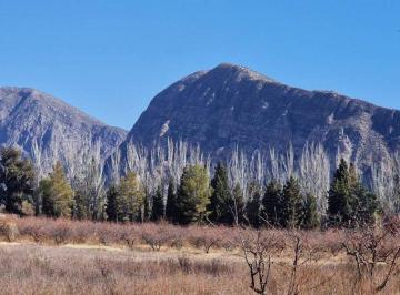 Campo · 223ha · Venta Finca 10,8 Has en San Roque Jachal