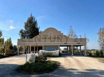 Terreno · 653m² · Venta de Lote Barrio Fincas Joven - San Vicente