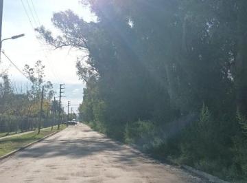 Terreno · 200m² · Lote en Venta Alejandro Korn, San Vicente