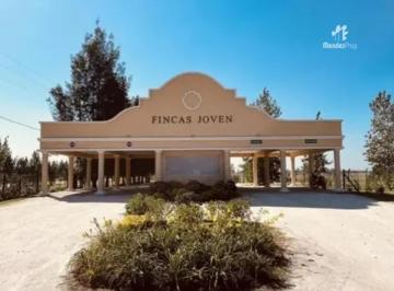 Terreno · 653m² · Lote en Venta Fincas Joven, Oportunidad!