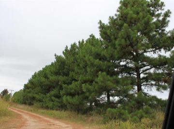 Terreno · 4187m² · Venta Lotes de 2.200 m² Cardales Campana