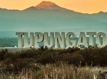 Terreno · 32000000m² · Lote en Venta en Tupungato La Arboleda