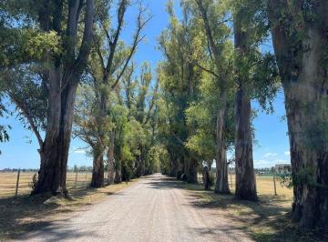 Terreno · 1000m² · Venta Lote en Tres Pinos, Gral Rodriguez