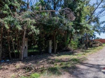 Terreno · 1204m² · Lote en Venta en Villa Elisa