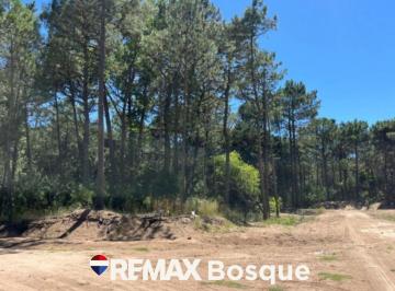 Terreno · 1010m² · Venta Terreno en Carilo Barrio Los Enebros