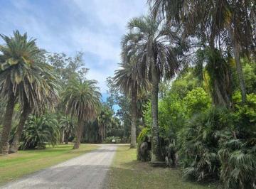 Terreno · 4300m² · Lote de 4300 m² en Sector Golf Villa María