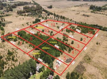 Terreno · 10000m² · Chacra de 1 Hectarea en Venta en Cañuelas