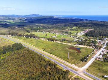 Campo · 9ha · Chacra 9 Ha en Venta Sobre Ruta Ib con Renta Anual