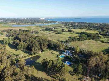 Campo · 680ha · Chacra de 5 Ha en Venta en Punta del Este.