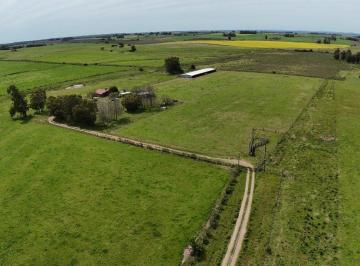 Campo · 120ha · Chacra en Venta - 9,6 Ha - 2 Casas - San Jacinto
