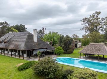 Campo · 126ha · Venta Campo 126 Ha, Vivienda y Ex Haras, Florida