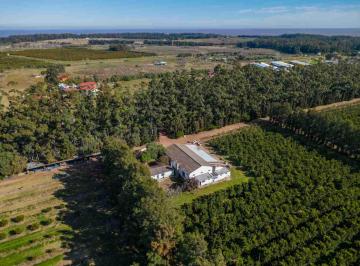 Campo · 400ha · Venta de Chacra 20 Has en Punta Espinillo