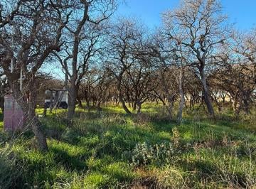 Terreno · 640m² · Lote 15 Mza 14 - Loteo Don Adolfo - Ataliva Roca