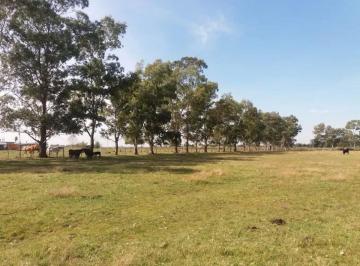 Terreno · 575m² · Venta Lote Fincas Don Octavio Florencio Varela