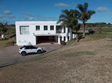Campo · 299ha · Venta Campo 3 Hs con Casa de Categoria - Baradero