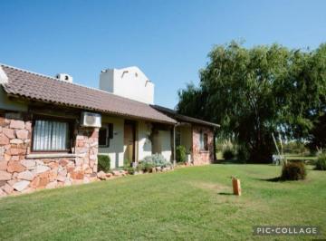 Campo · 564ha · Inversión Turística y Desarrollo 6 Ha San Rafael