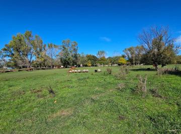 Terreno · 2000m² · Venta Lote Terreno de 2000 m² Uribelarrea