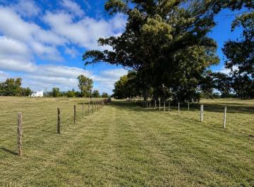 Terreno · 6000m² · Terreno en Venta San Miguel del Monte Rn 41 y 215
