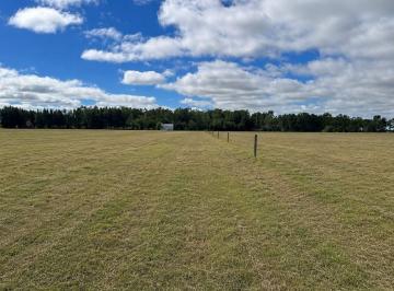 Campo · 10ha · Campo en Venta San Miguel del Monte Sobre Rn 41
