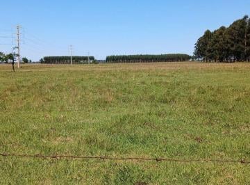 Terreno · 3396m² · Lote en Venta - Colonia Porvenir