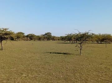 Terreno · 10000m² · Venta de Terreno de 10.000 m² en Mercedes Ctes