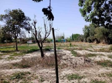 Terreno · 500m² · Venta Lote San Martin Mendoza