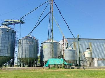 Bodega-Galpón · 1203m² · En Venta Planta de Silos Acopio y Clasificacion