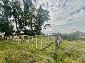 Campo · 35ha · 35 Has Agrícolas – Ganaderas en Magdalena Bs As