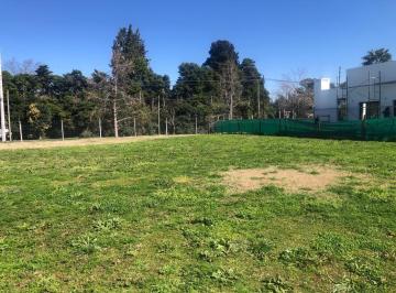 Terreno · 597m² · Lote en Venta Santa Elisa Pilar del Este