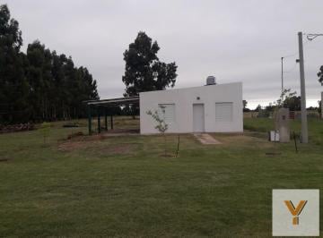 Casa · 90m² · 2 Ambientes · 1 Cochera · Casa en Venta - 2 Dorm. 1 Baño - Cochera - 1.050 m² - Bordenave, Puán
