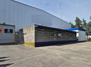Bodega-Galpón · 4800m² · 1 Ambiente · Parque Ind Campana - Planta Industrial / Deposito 4.800 m
