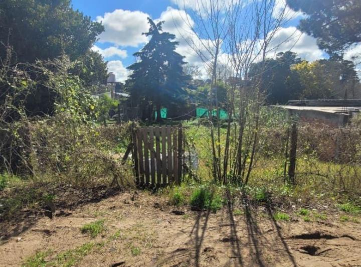 Terreno · 323m²