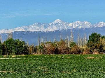Campo , Lavalle · Finca en Venta - San Martin & de Los Correas - Lavalle
