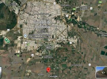 Terreno · 25000m² · Terreno 2,5 Hs - 12 Usd m² - Camino San Carlos Km 12