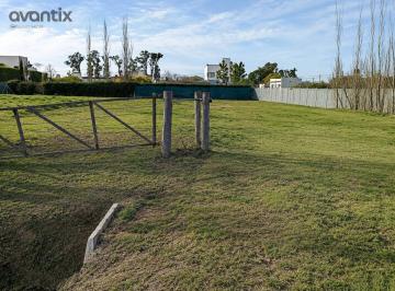 Terreno · 790m² · Terreno Pte Roca