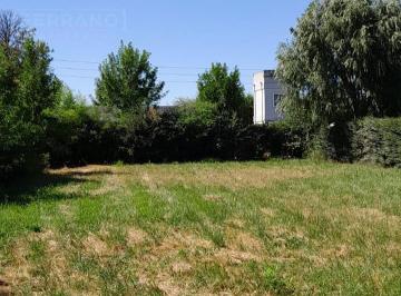 Terreno · 740m² · Venta Terreno 740 m, Parque Sakura, Calle Sanchez Al 600, Exaltacion de La Cruz